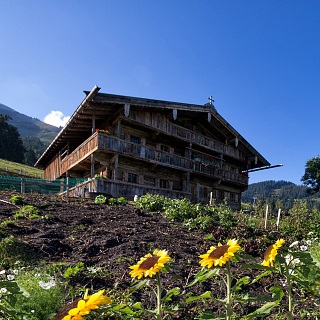 Malga Simonalm - Söll