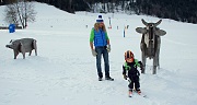 SkiWelt Söll