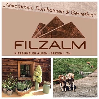 Filzalm