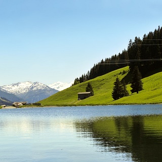 Der Brantlalmsee - irrsinnig naturbewusst