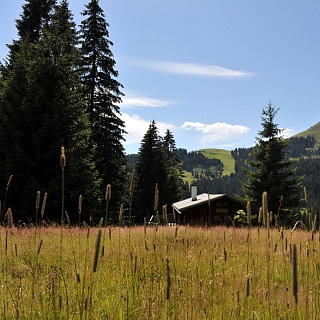 Tour 3 Riesenwald Rundwanderung