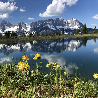 Tour 4 Schwaiglerkogel rondwandeling