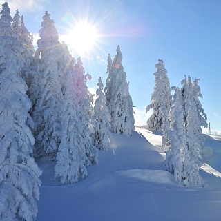 Waanzinnig mooi winterwandelen op de berg.