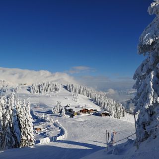 Kontakt Bergbahn Scheffau