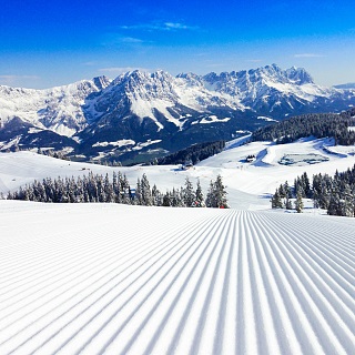 SkiWelt normaltakst