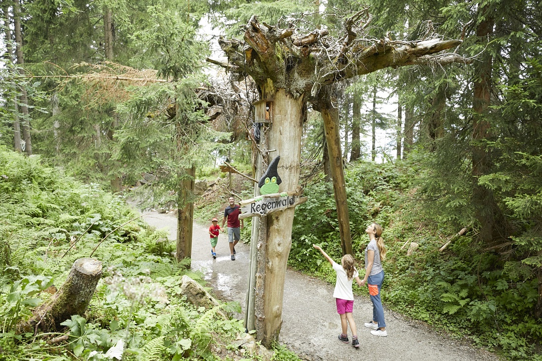 Reuzen Panoramapad | Ellmau - Scheffau