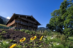 Simonalm im Hexenwasser Söll Hohe Salve