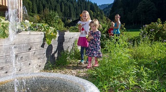 La huerta: aquí se cultivan hierbas, verduras y bayas