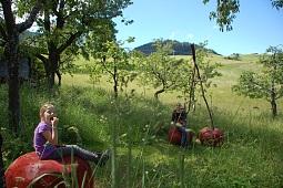 Disfrutar y tomarse un respiro en el jardín de cerezos