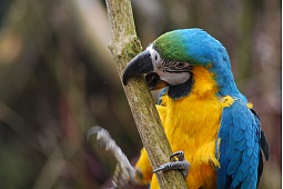 Zoobesuch für die ganze Familie